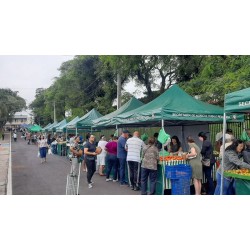 Quatro novos expositores estão na Feira do Produtor Rural de Campo Largo